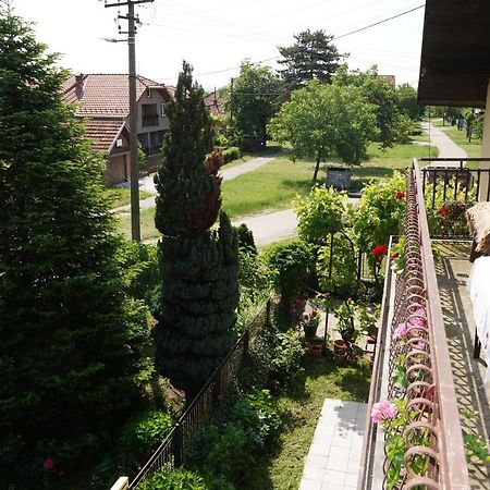 Etnobubi Lägenhet Novi Sip Exteriör bild