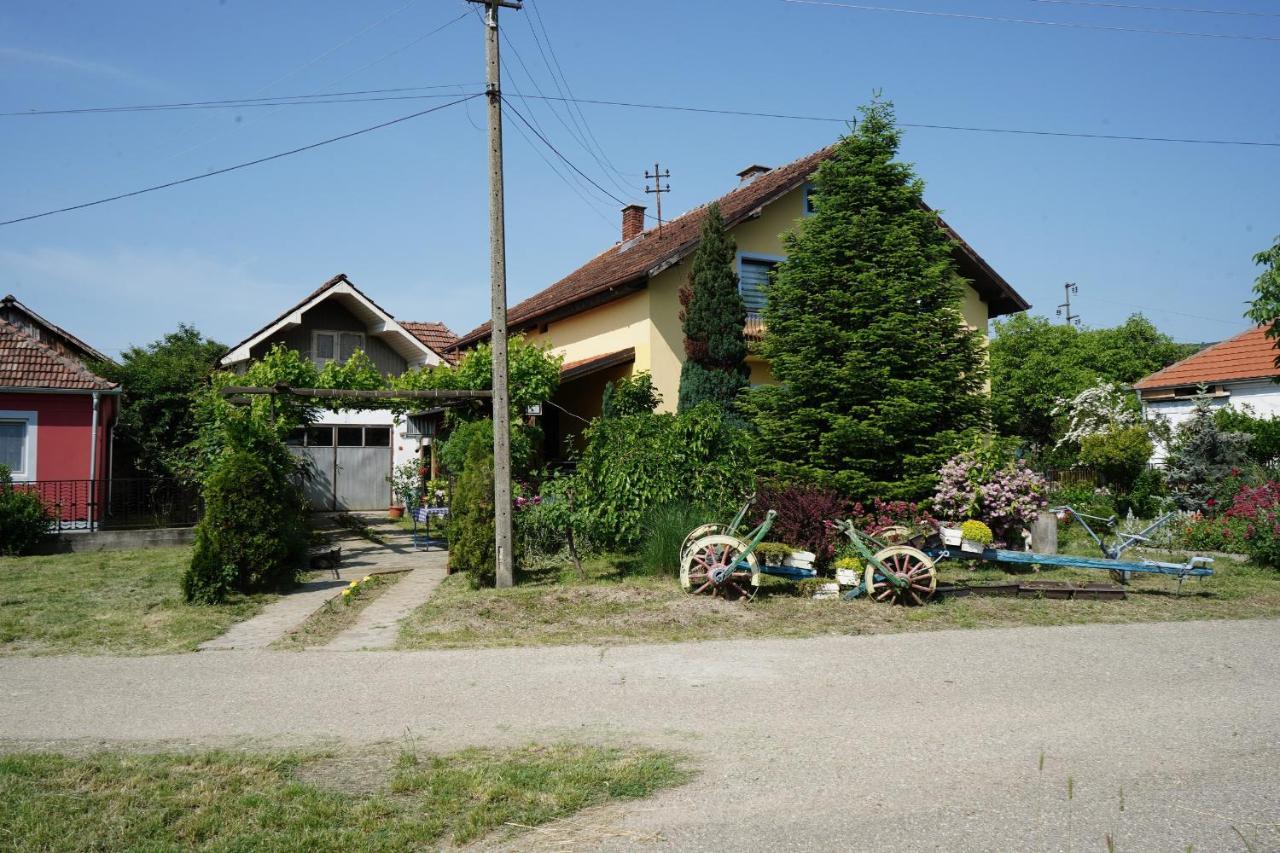 Etnobubi Lägenhet Novi Sip Exteriör bild