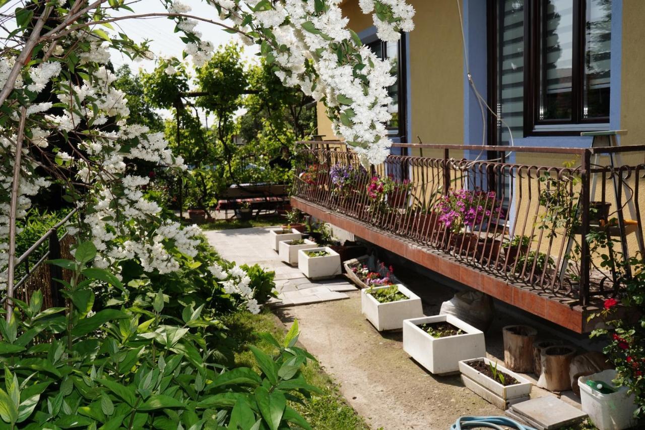 Etnobubi Lägenhet Novi Sip Exteriör bild